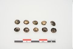 Foto von Bronzeknopf (NHMW-PRAE-025296)